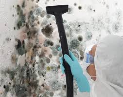 Why You Should Choose Our Mold Remediation Services in Jamesburg, NJ